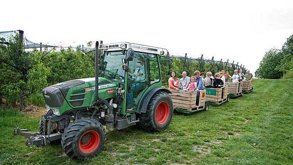 Fahrt mit dem Apfelzug beim Obsthof Zotter 