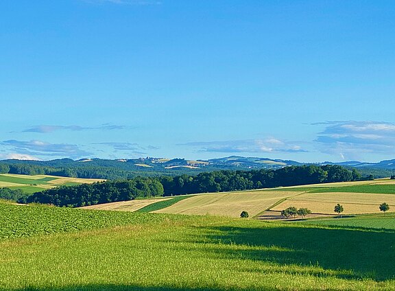 Bad Tatzmannsdorf & Region